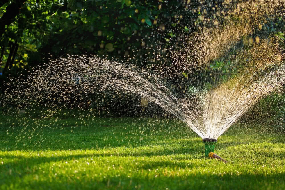 Drooping Dreams? Call Us for Sprinkler Repair Magic!