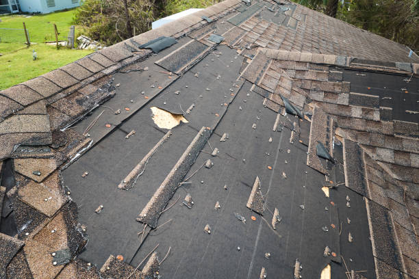 Protect Your Home with the Best Houston Roof Replacement Services